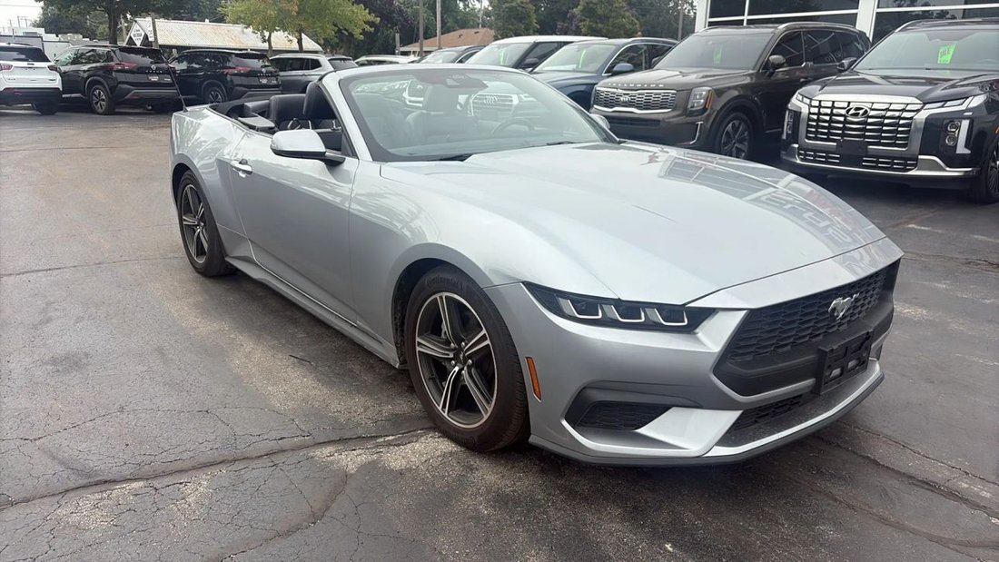Cabriolet in Milwaukee, WI, United States 2 - 18810519