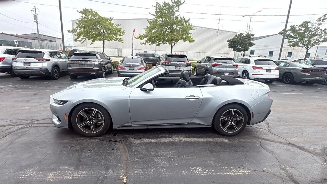 Cabriolet in Milwaukee, WI, United States 5 - 18810519