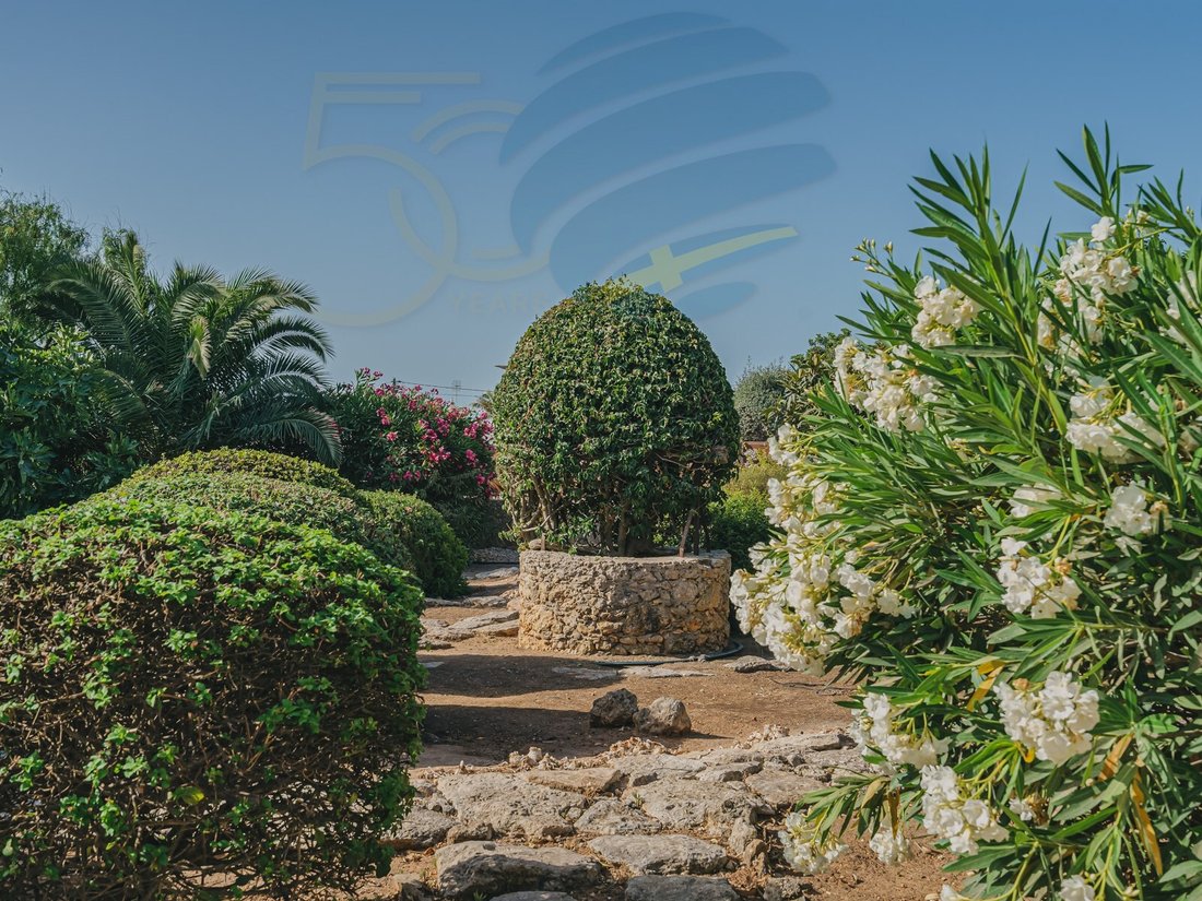 Haus in Lagoa und Carvoeiro, Algarve, Portugal 5 - 18810680