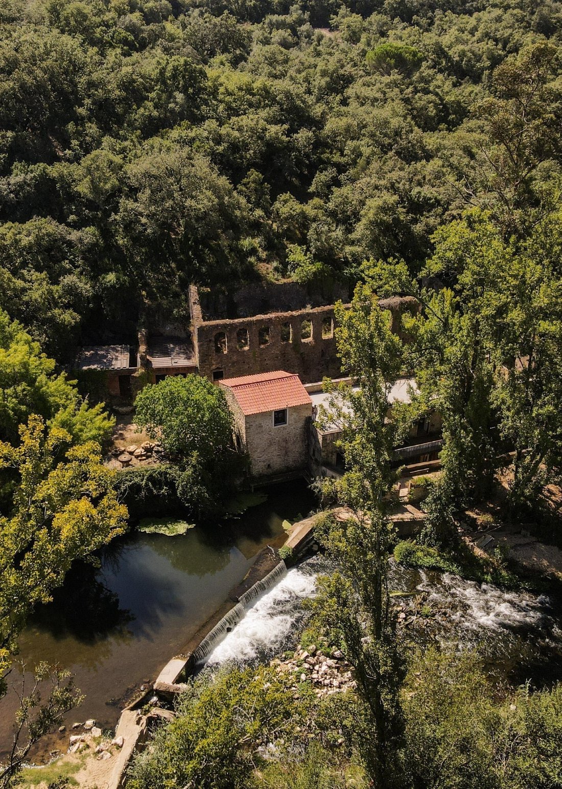 Finca en Alem da Ribeira e Pedreira, Distrito de Santarém, Portugal 2 - 18810678