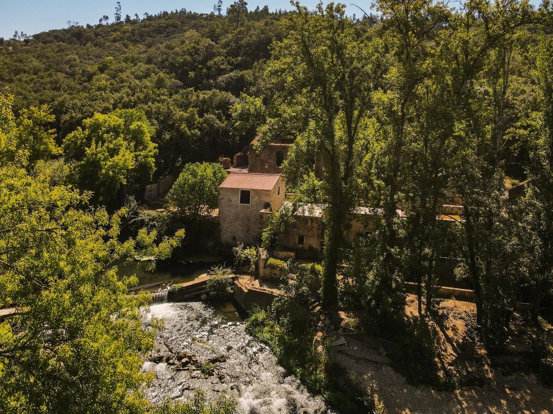 Finca en Alem da Ribeira e Pedreira, Distrito de Santarém, Portugal 3 - 18810678