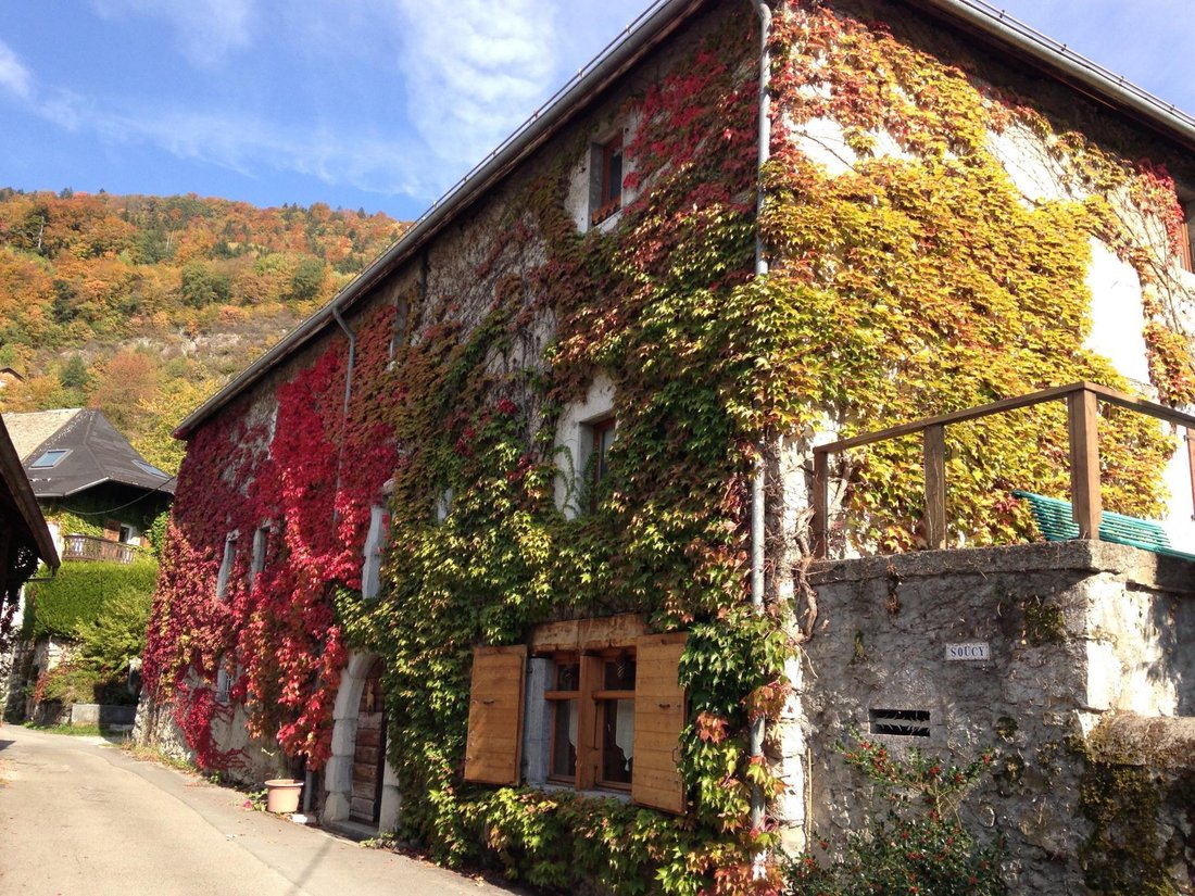 Haus in Chatillon-sur-Cluses, Auvergne-Rhone-Alpen, Frankreich 5 - 18811025