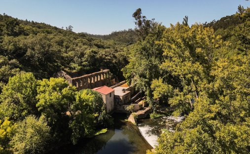 Finca in Alem da Ribeira e Pedreira, Santarem District, Portugal 1