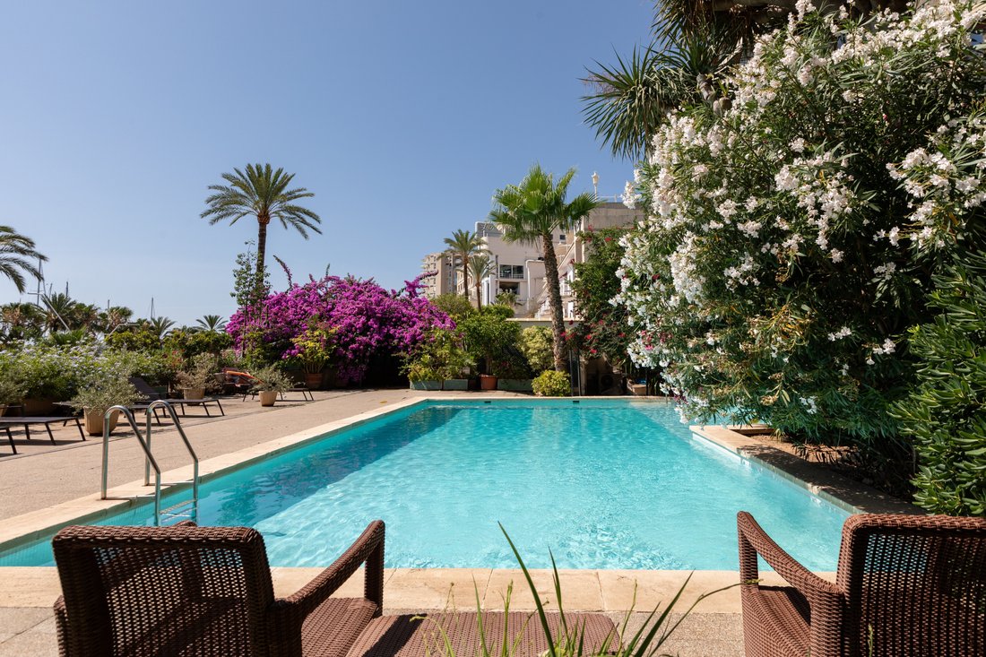 Apartment in Palma, Balearic Islands, Spain 1 - 18810859
