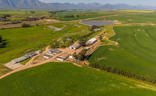 Corps de ferme à Wellington, Cap occidental, Afrique du Sud 1