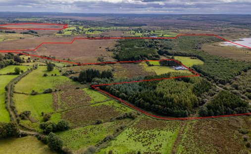 Terreno en Cloontrasna, County Roscommon, Irlanda 1