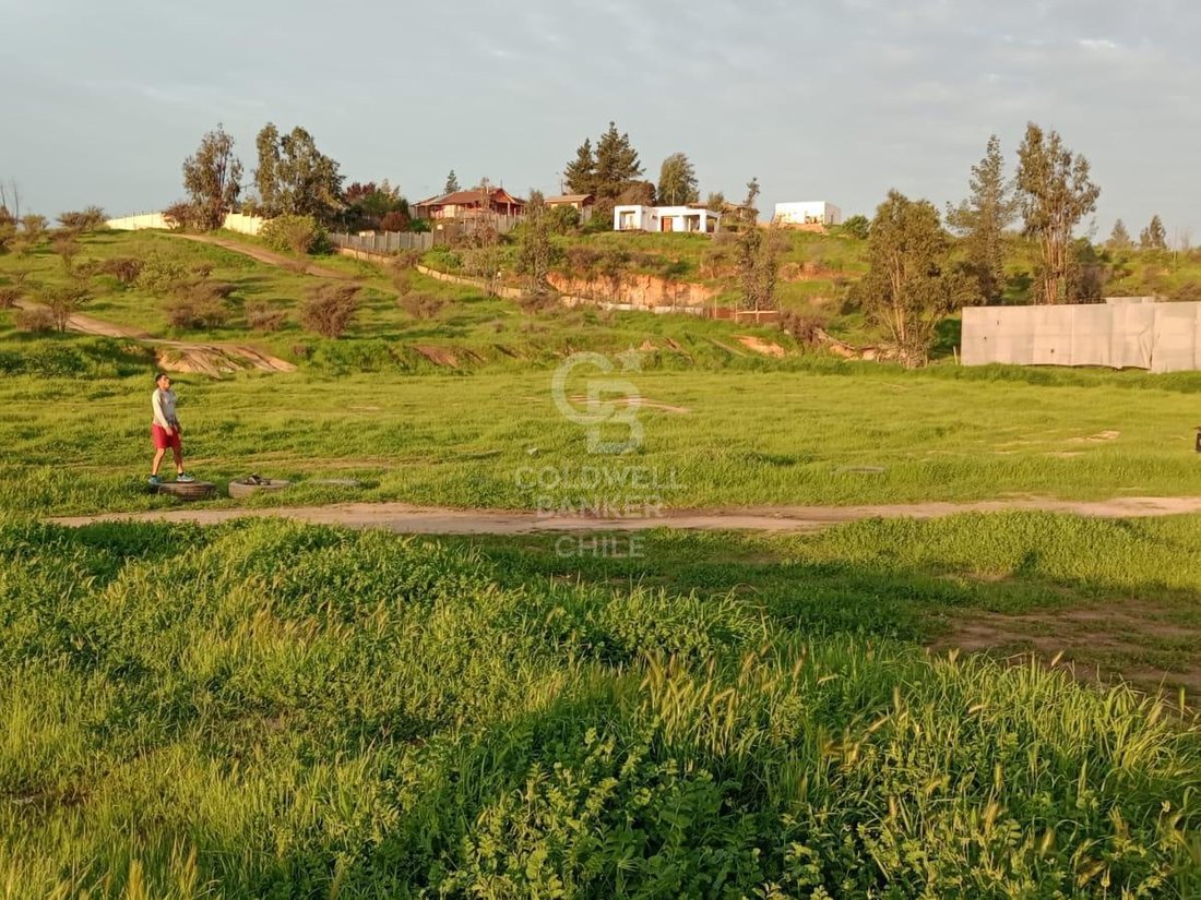 Land in Limache, Valparaíso, Chile 3 - 18810867