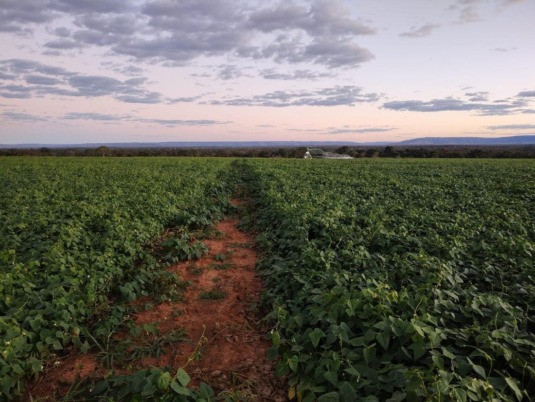 Tenuta a Arinos, Minas Gerais, Brasile 2 - 18811057