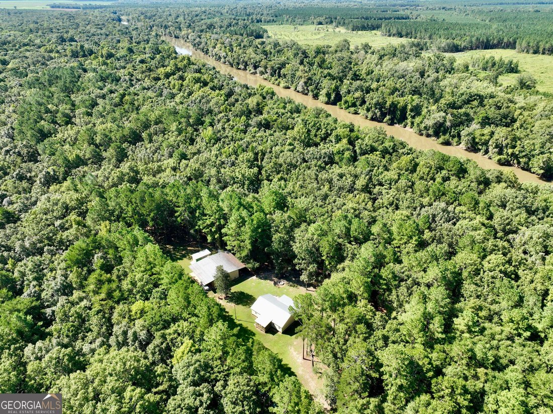 Farm Ranch in Hawkinsville, Georgia, United States 2 - 18812011