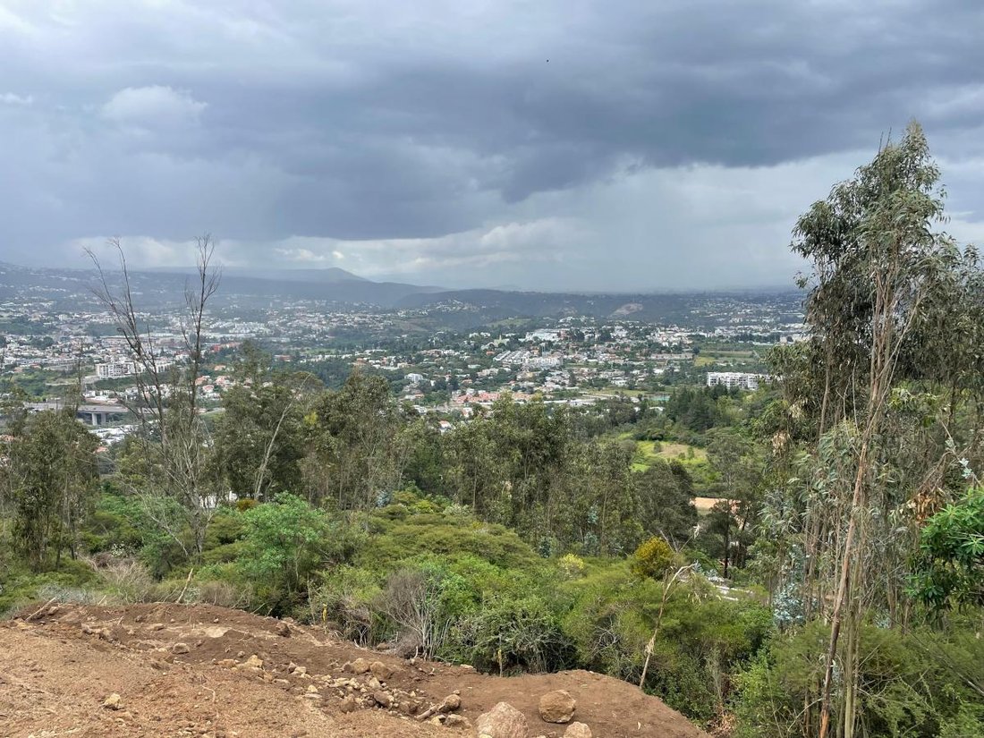 Land in Quito, Pichincha, Ecuador 4 - 18811153