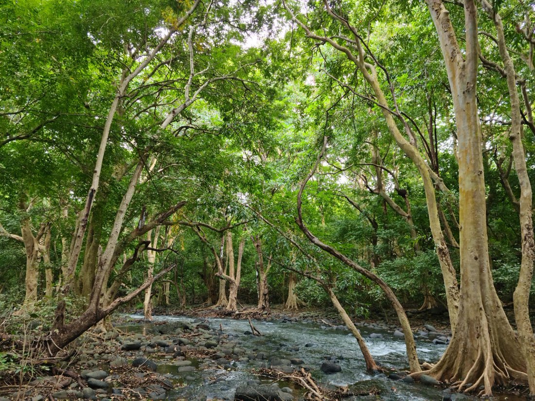 Land in Tamarin, Mauritius 2 - 18812603