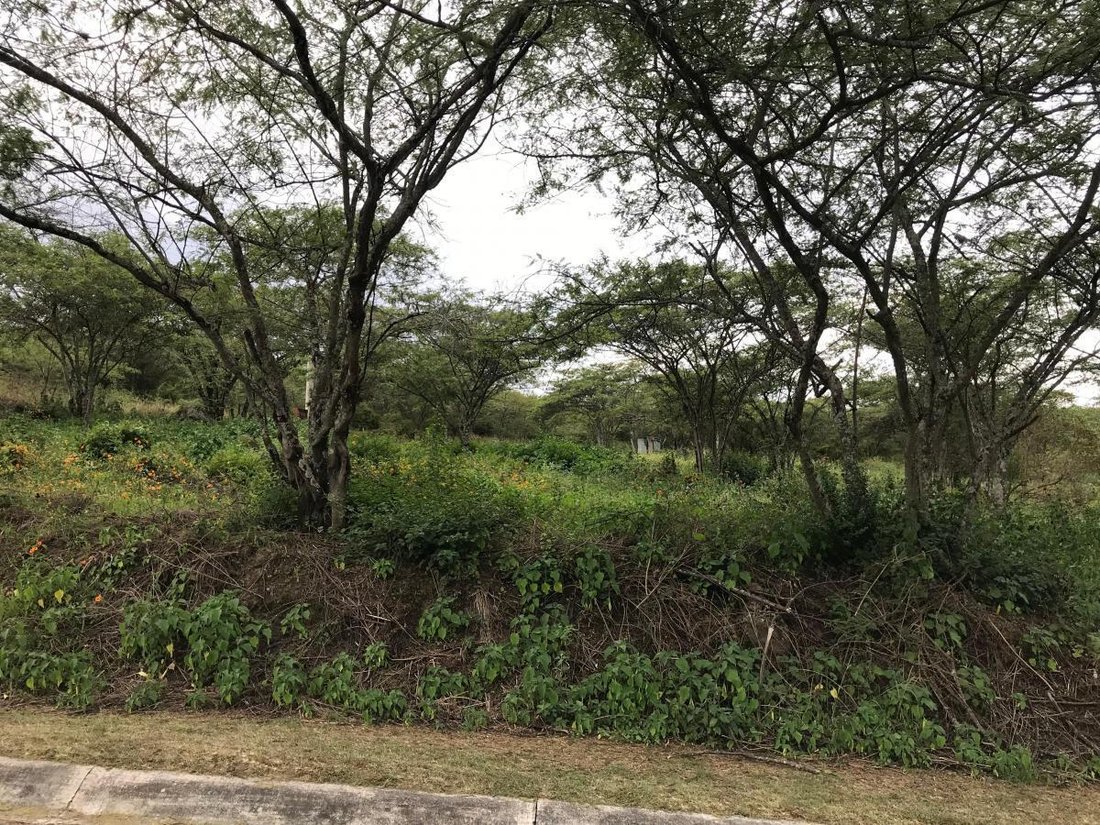 Land in Quito, Pichincha, Ecuador 5 - 18811153