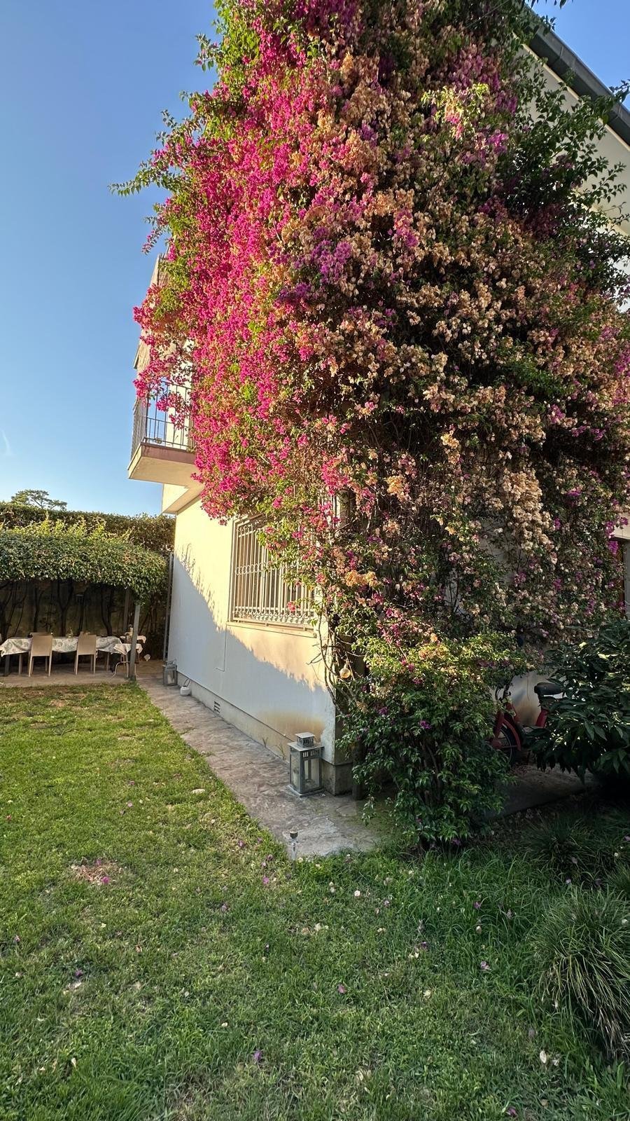 Country House in Marco Polo - Don Bosco, Viareggio, Tuscany 1 - 18814326