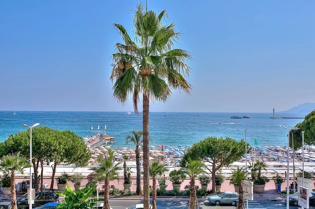 Appartement à Cannes, Provence-Alpes-Côte d'Azur, France 1 - 18119516