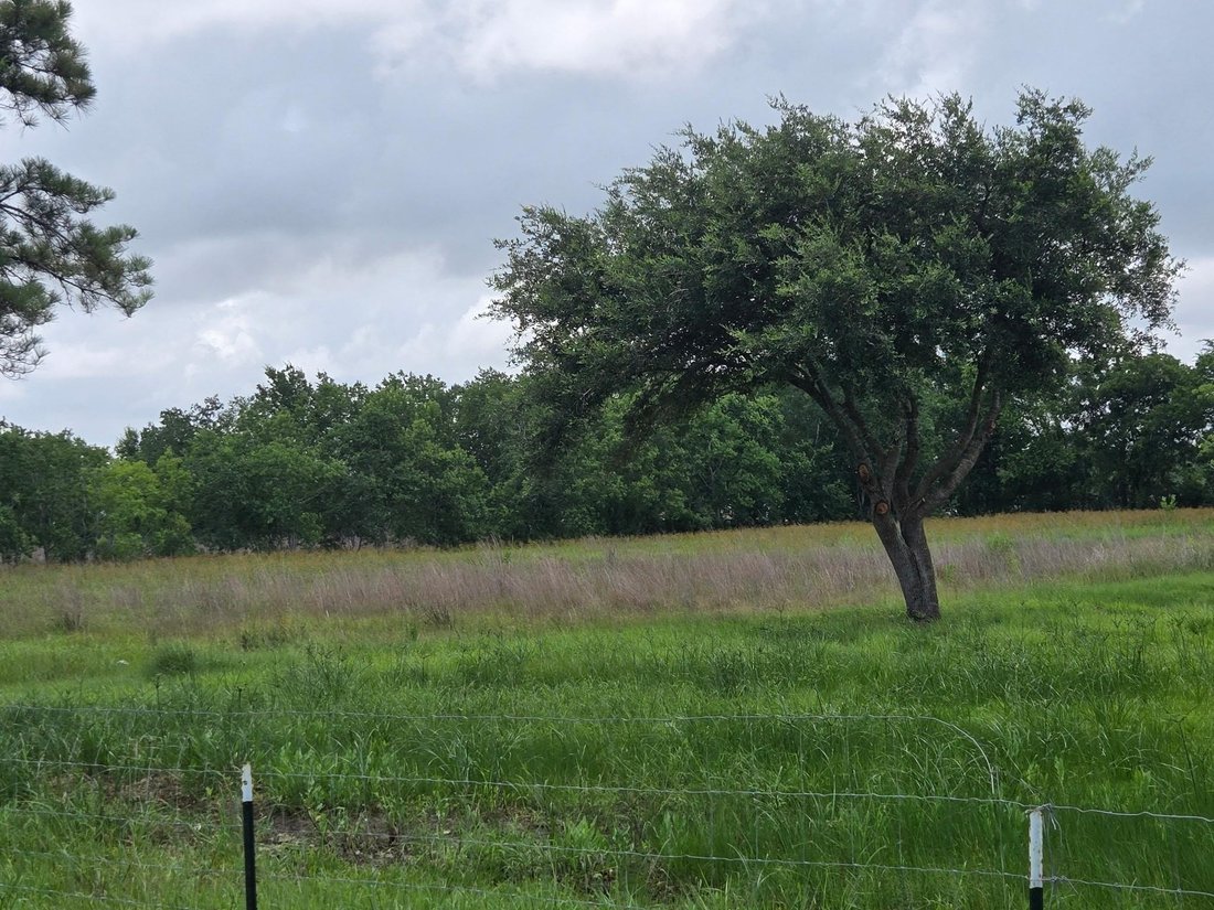 Casa en Pearland, Texas, Estados Unidos 1 - 18815050