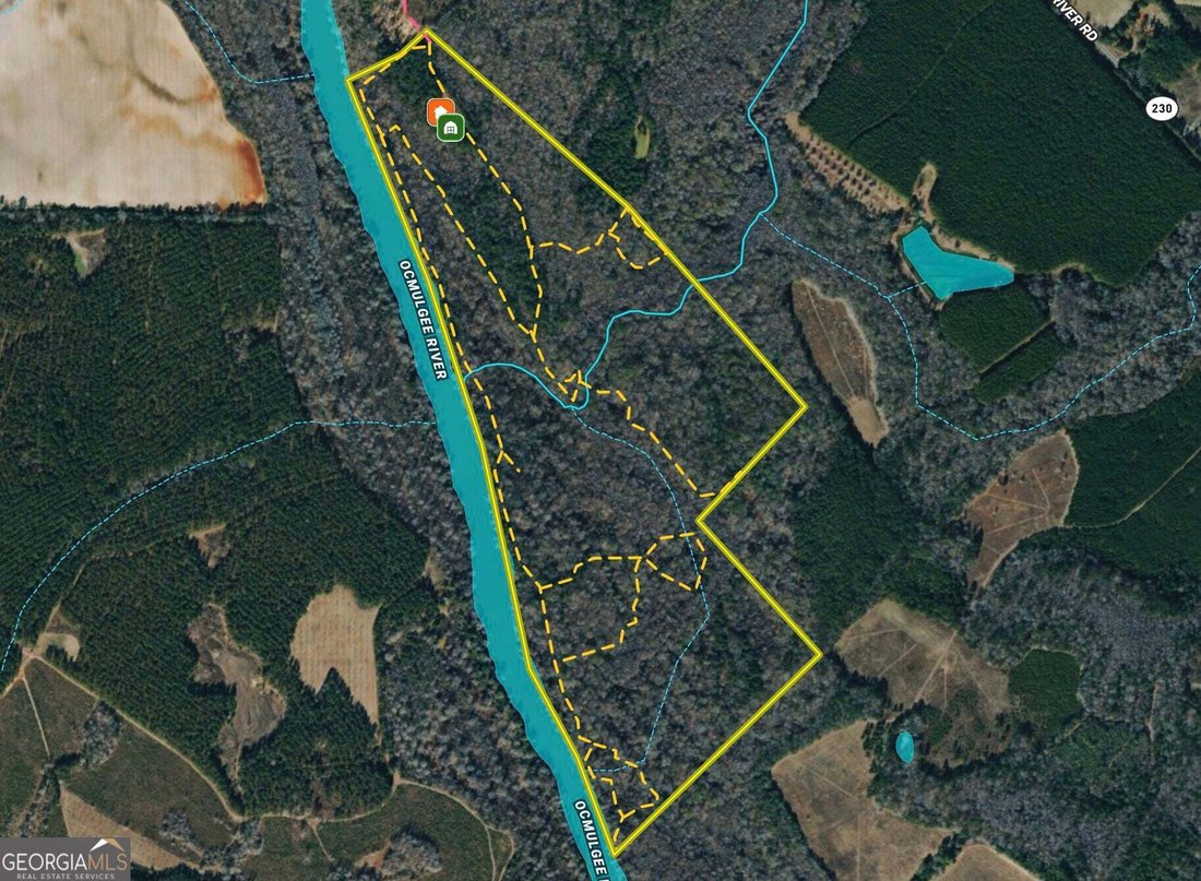 Farm Ranch in Hawkinsville, Georgia, United States 5 - 18812011