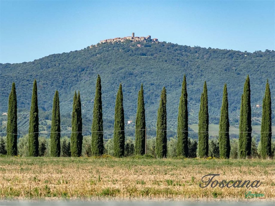 Villa à Tirli-Vetulonia-Buriano, Castiglione della Pescaia, Toscane 5 - 18813959