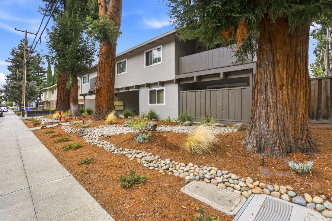 Otros en Mountain View, California, Estados Unidos 1 - 18813612
