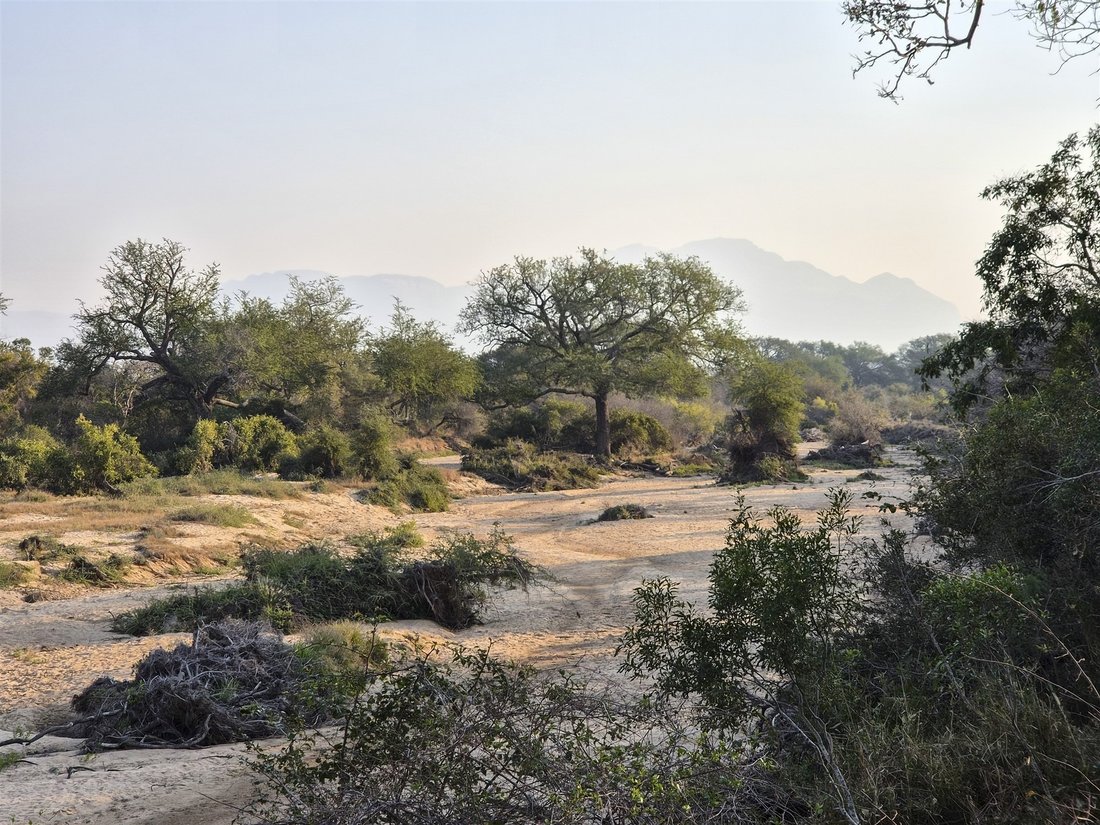 Casa a Hoedspruit, Provincia del Limpopo, Sudafrica 2 - 18813229