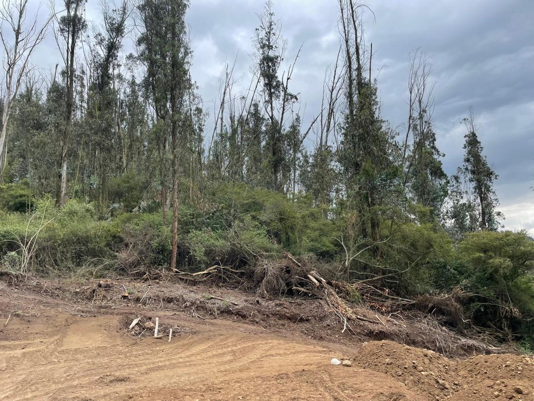 Land in Quito, Pichincha, Ecuador 2 - 18811153