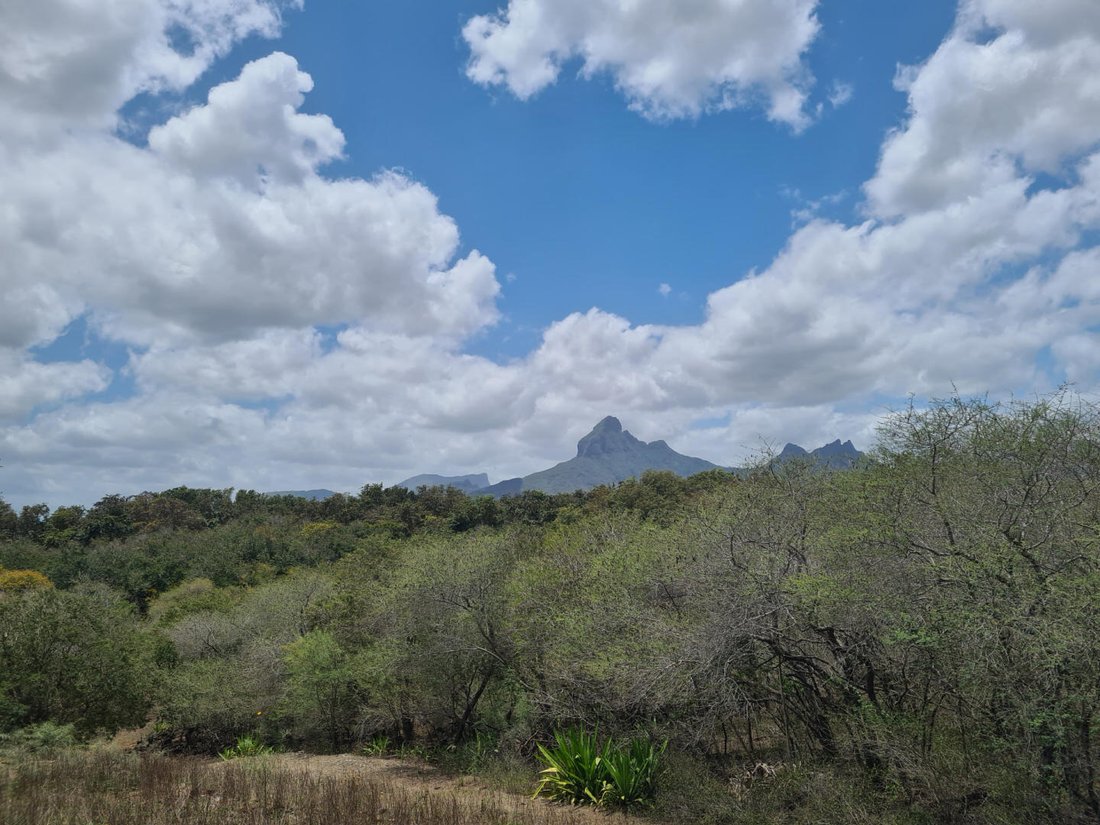 Land in Tamarin, Mauritius 4 - 18812603