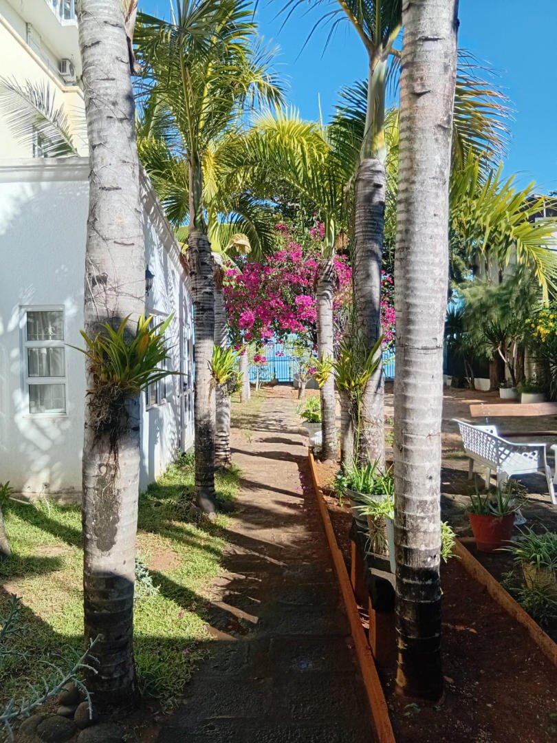 Haus in Baie du Tombeau, Pamplemousses, Mauritius 5 - 18811626