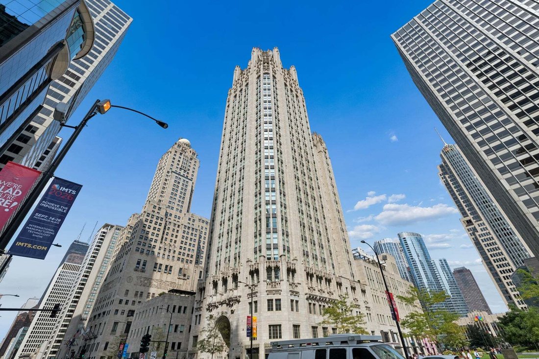 Condo in Chicago, Illinois, United States 1 - 18814833
