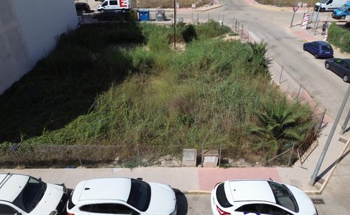 Land in Formentera del Segura, Valencian Community, Spain 1