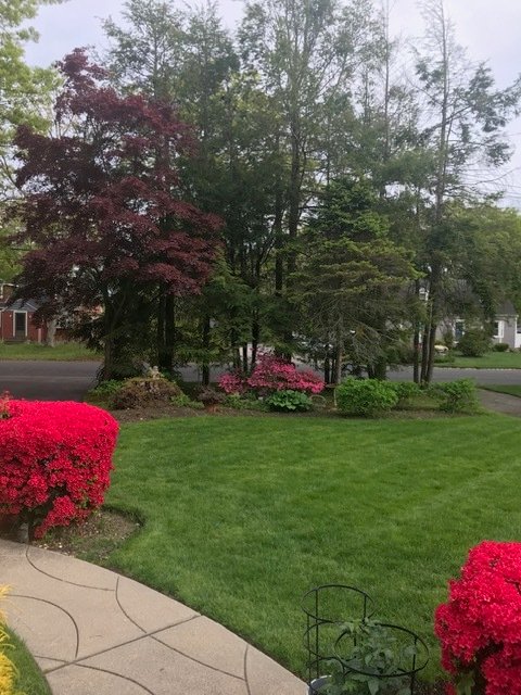House in Deer Park, New York, United States 5 - 18811158