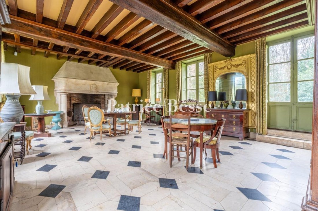 Schloss in Cellettes, Zentrum-Loiretal, Frankreich 4 - 18815290