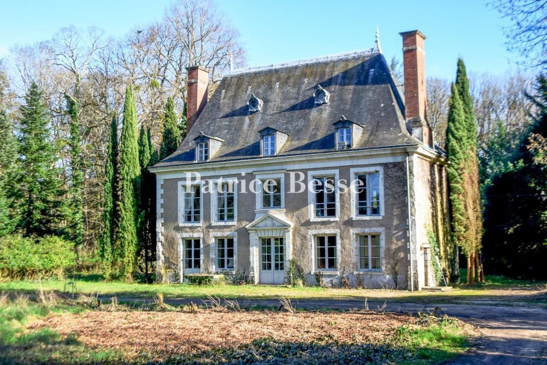 Schloss in Cellettes, Zentrum-Loiretal, Frankreich 1 - 18815290