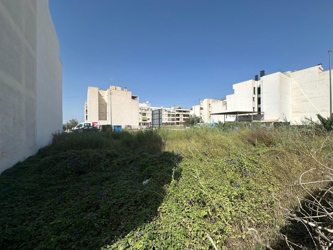 Land in Formentera del Segura, Valencian Community, Spain 4 - 18813052