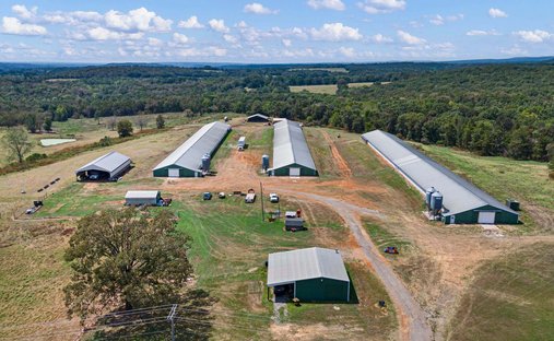 Azienda agricola a Ozark, Arkansas, Stati Uniti 1