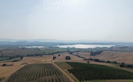 Terreno en Castiglione del Lago, Umbría, Italia 1