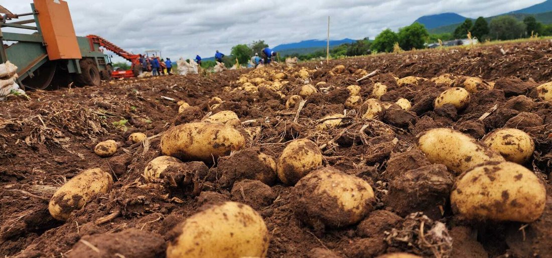 Azienda agricola a Weenen, KwaZulu-Natal, Sudafrica 1 - 18813235