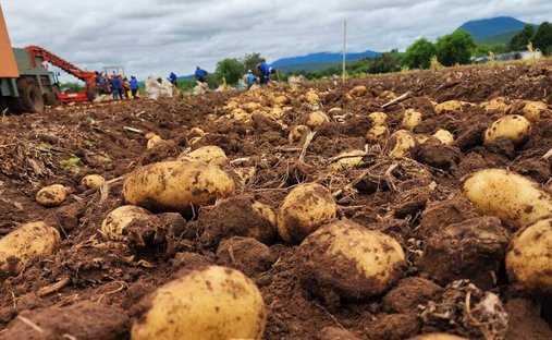 Azienda agricola in Weenen, KwaZulu-Natal, Sudafrica 1