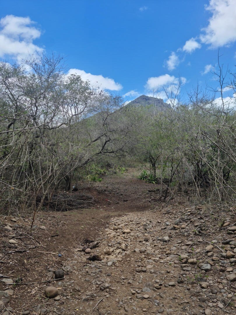 Land in Tamarin, Mauritius 3 - 18812603