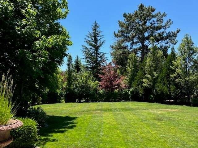 House in Reno, Nevada, United States 4 - 16233484