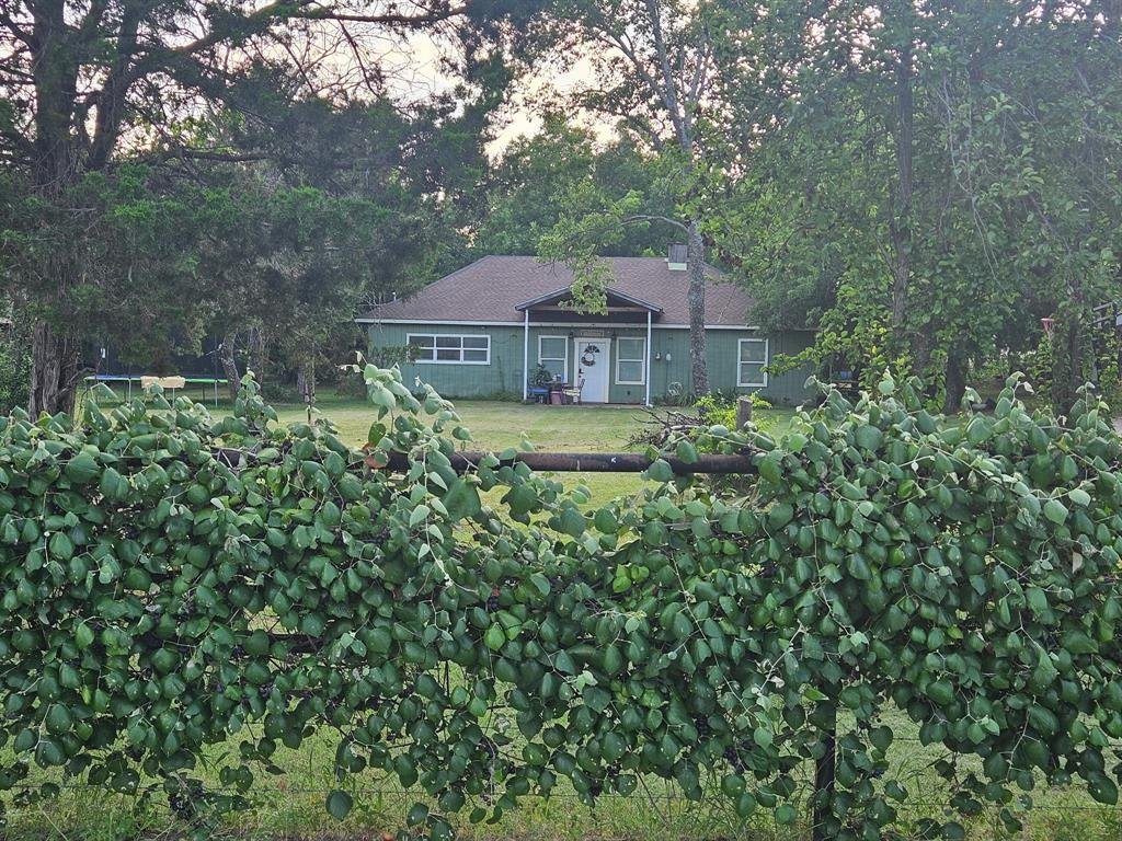 House in Newark, Texas, United States 5 - 18814950