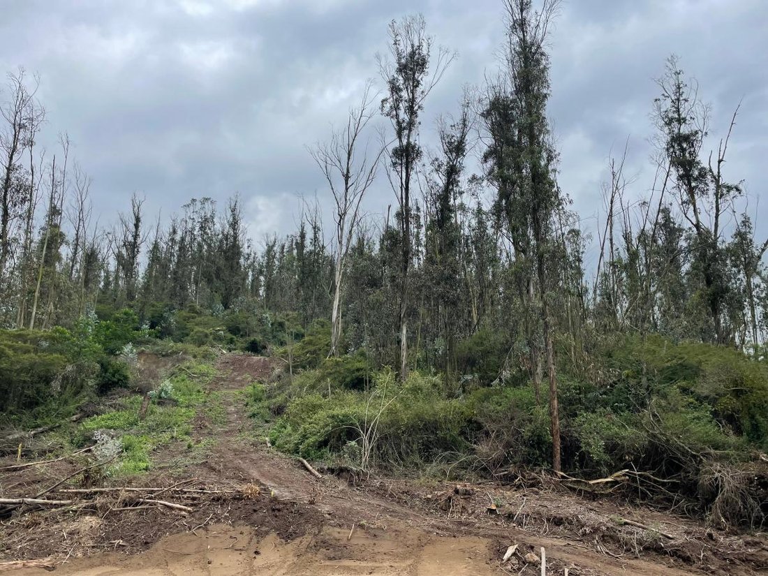 Land in Quito, Pichincha, Ecuador 1 - 18811153