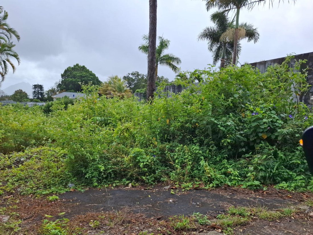 Terreno en Vacoas-Phoenix, Distrito de Plaines Wilhems, Mauricio 1 - 18812186
