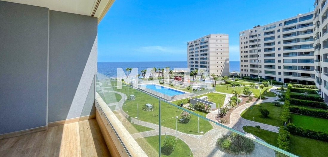 Condo in Torrevieja, Valencian Community, Spain 1 - 18813548