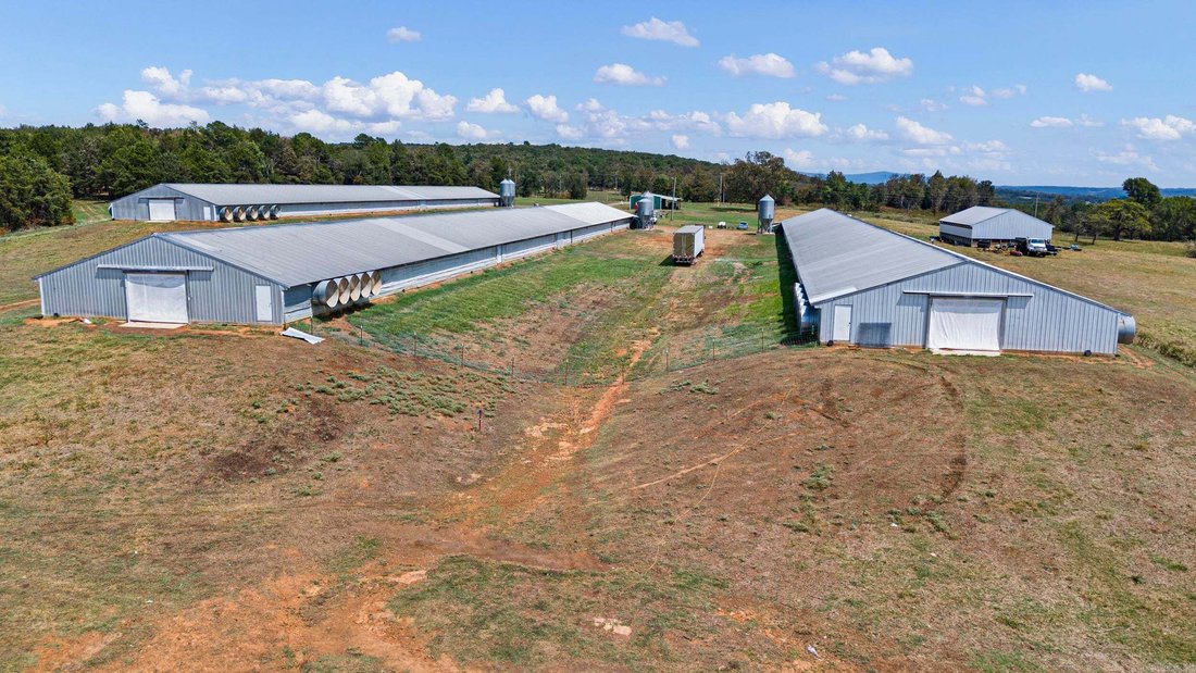 Farm Ranch in Ozark, Arkansas, United States 4 - 18811267