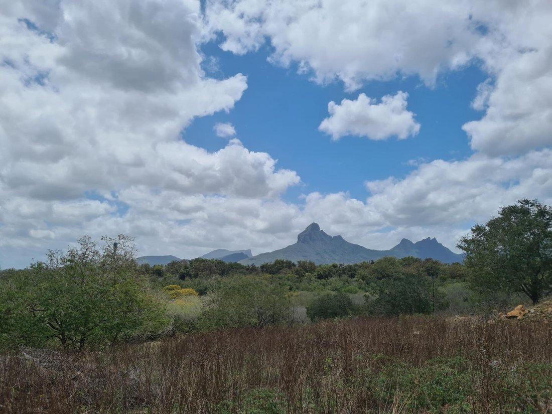 Land in Tamarin, Mauritius 5 - 18812603