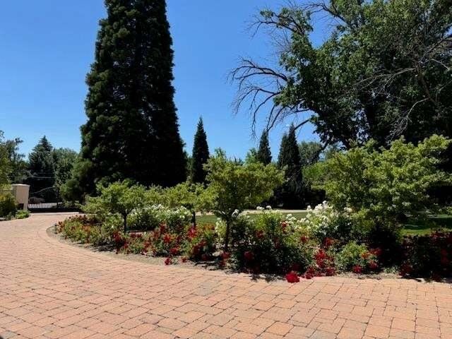 House in Reno, Nevada, United States 2 - 16233484