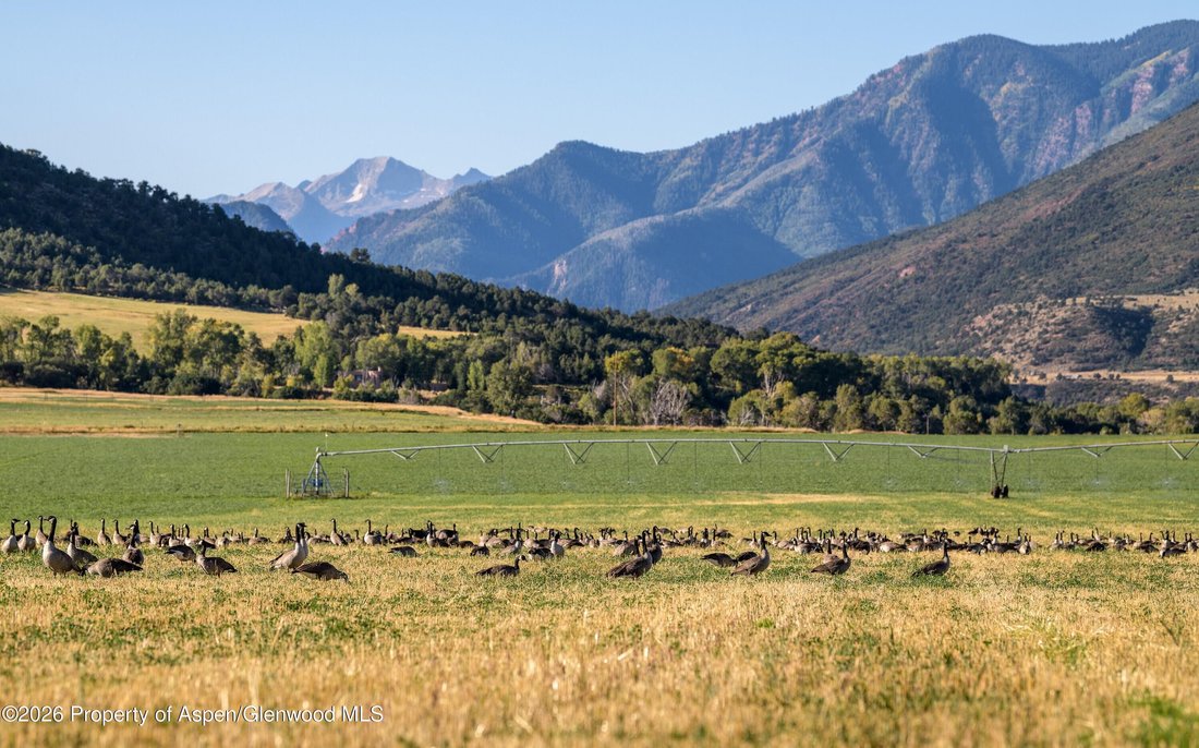 House in Carbondale, Colorado, United States 3 - 17796480