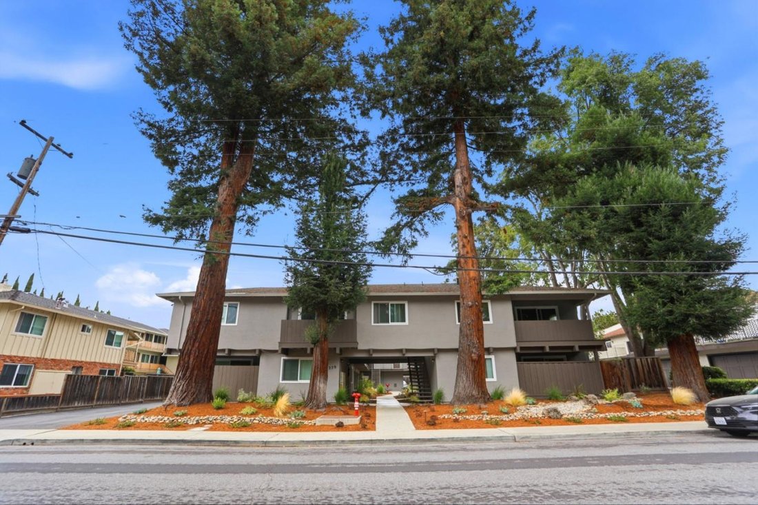 Otros en Mountain View, California, Estados Unidos 2 - 18813612