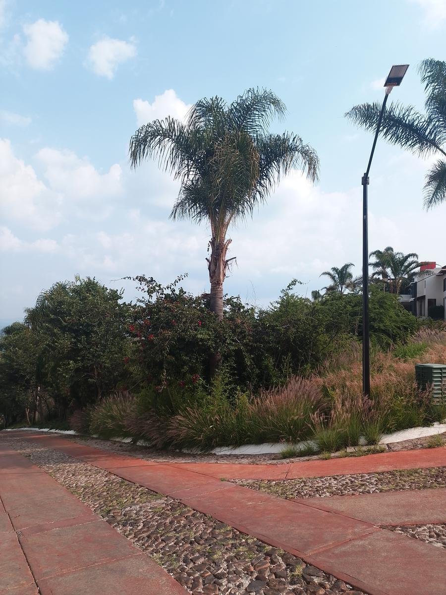 Land in Corregidora Municipality, Querétaro, Mexico 5 - 18811147