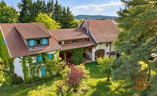 House in Ouest, Gex, France 1