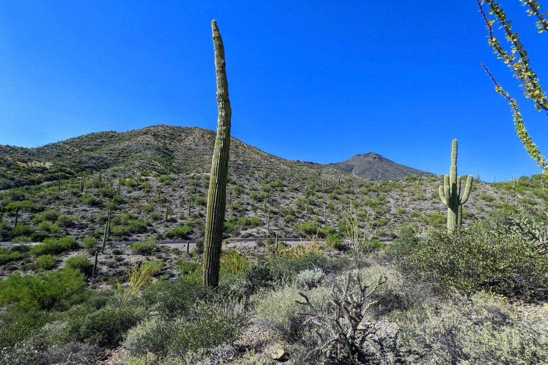 Land in Scottsdale, Arizona, United States 2 - 18816259